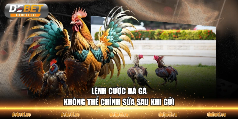 Lệnh cược đá gà không thể chỉnh sửa sau khi gửi